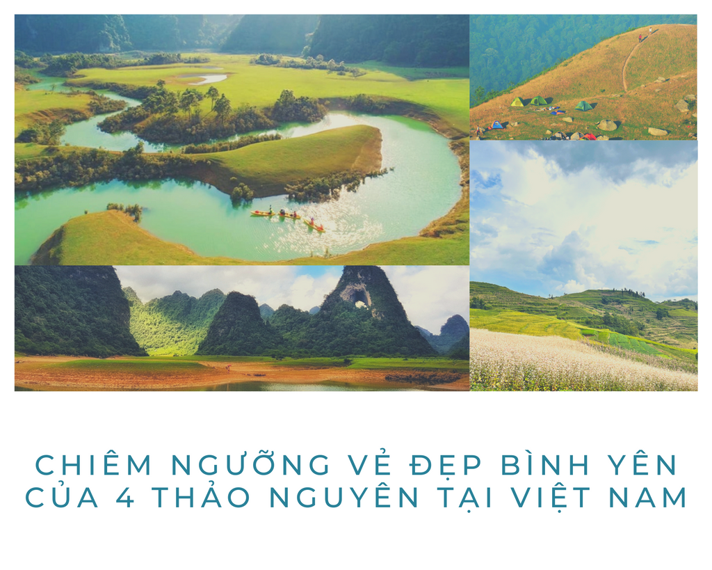 Chiêm ngưỡng vẻ đẹp bình yên của 4 thảo nguyên tại Việt Nam